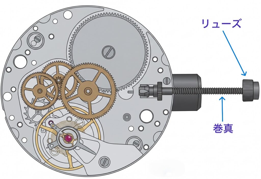 機械式時計の内部構造イメージ図
