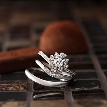 PAVEO CHOCOLAT FLEURAGE フルラージュ　